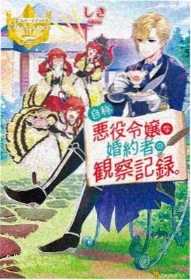 雾隐之城 动画海报